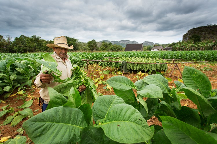 Viñales vallei, Cuba